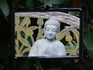 Gespiegelte wirklichkeit - Leuchtender Buddha