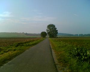 ein langer weg im sommer durch die feldmark