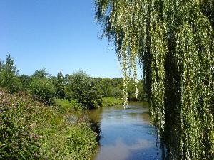 kiessee